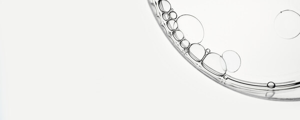 Oil droplets abstract patterns in transparent petri dish, banner format © colnihko