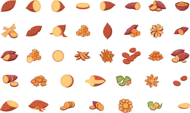 Collection of sweet potato illustrations in various cuts and preparations on white background