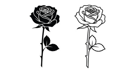 Two roses displayed one dark and one light in a striking silhouette © adobeamena