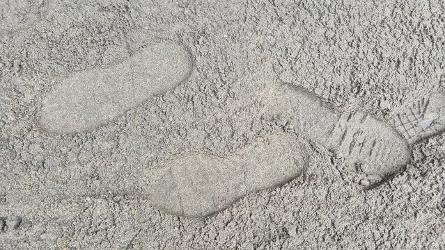 Three footprints impressed into coarse, greyish-brown sand.