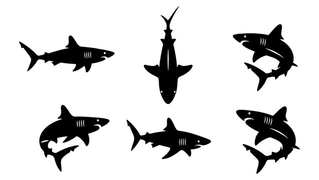 Shark silhouette vector set, 6 black shark icons in various swimming poses, predatory sea fish collection for marine life branding and logo design