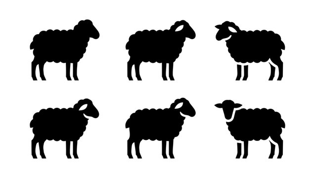Black sheep silhouette icons set, minimalist farm animal vector graphics, 6 woolly lamb profile symbols for agricultural branding and logo design