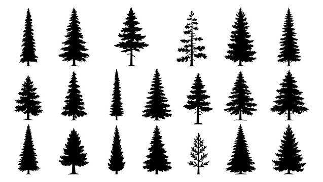 Black pine tree silhouettes, collection of 18 conifer evergreen tree icons, minimalist forest fir and spruce vector elements for nature design