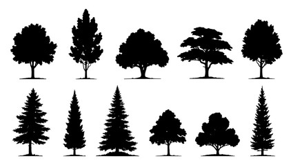 Black tree silhouettes collection, set of 11 deciduous and coniferous tree shapes, forest and park vegetation icons for landscape design © sogir