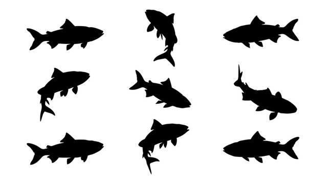 Black fish silhouette collection, set of 9 aquatic animal icons, swimming fish vector shapes isolated on white background
