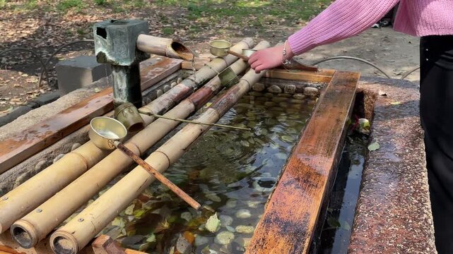 Traditional Japanese Tsukubai Water Feature with Bamboo and Stone Elements