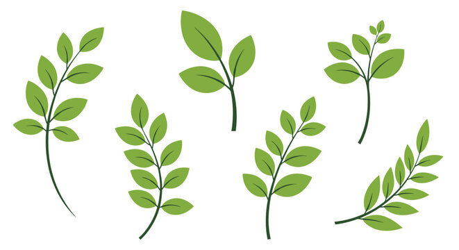 Selection of green leaf branches and foliage illustrations in seven distinct styles for natural botanical design elements.