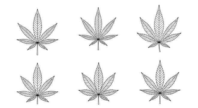 Collection of six hand-drawn cannabis sativa leaves in black and white sketch style isolated on a plain white background.