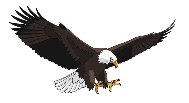 Powerful illustration of a majestic bald eagle in flight with its wings spread wide and sharp talons extended for landing or hunting.