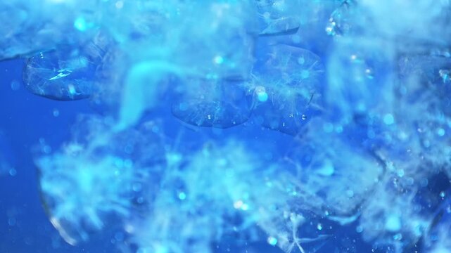 Ice cubes falling into water with oxygen bubbles, frost patterns, and soft light reflections. Concepts for beauty advertising, menu designs for bars and restaurants, cryotherapy.