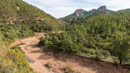Paysage sauvage du Massif de l'Estérel : rivière claire entre roches rouges et végétation méditerranéenne © jef 77