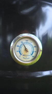 ahumador de carnes term&oacute;metro