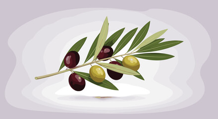 Fototapeta premium Olive branch featuring ripe green and black olives with slender leaves depicted in a realistic flat style illustration on a soft background.