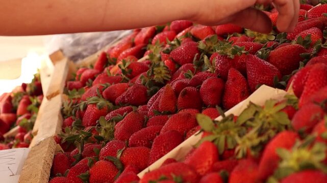 Frutilla o fresa en verduler&iacute;a