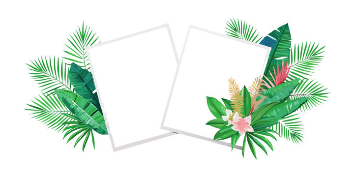 Two blank photo frames with tropical leaves and flowers, vector