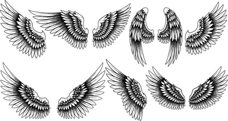 Collection of stylized wings pairs with intricate feather details, symmetrical designs, fantasy abstract vector illustration © IMTIAZ