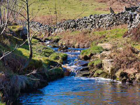 A clear rural stream winds through winter grass and rocks beside a dry stone wall in Yorkshire UK, with bright sunlight and a crisp countryside feel