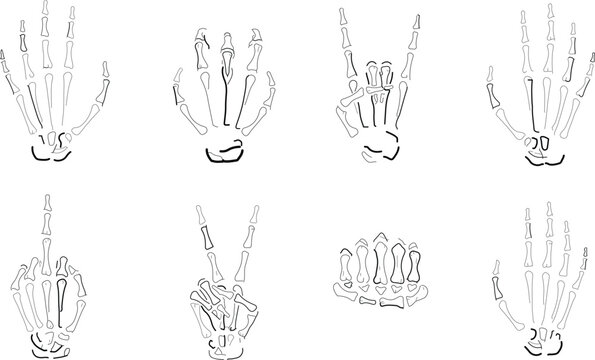 Skeleton Hand Gesture Vector Set Featuring Bone Illustrations of Peace Sign, Rock On, Middle Finger, and Fist for Halloween, Gothic Art, and Anatomy Concepts