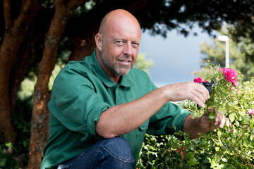 Fototapeta premium mature male florist cutting flowers outdoors
