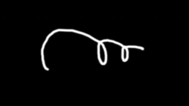 Doodle hand-drawn line art scribble abstract winding white black suitable for motion graphics, creative projects, artistic backgrounds, or playful design elements.