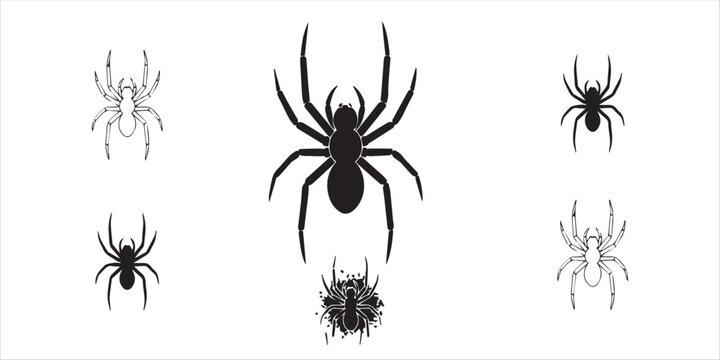 Spider Silhouettes & Icons - Scalable SVG  PNG