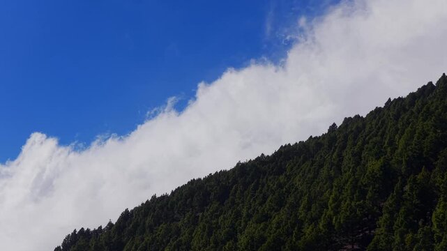 Aerial View of Dramatic Cloud Formation above Forest - Weather system formation and Atmospheric Weather Pattern Canary Islands Spain