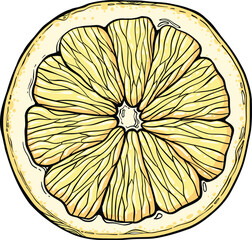 Sketch lemonade. Summer cold drinks, hand drawn yellow lemons slices and leaves. Glass of lemonade with ice vector illustration. Drink fruit lemonade graphic, juice and mint leaf © lupascoroman