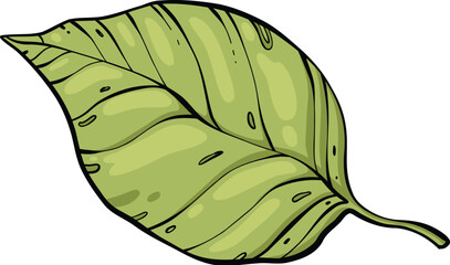 Sketch lemonade green leaf. Summer cold drinks, hand drawn yellow lemons slices and leaves. Glass of lemonade with ice vector illustration. Drink fruit lemonade graphic, juice and mint leaf © lupascoroman