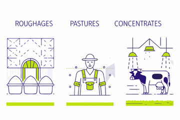 Illustration of animal feed types roughages pastures and concentrates © Lolita