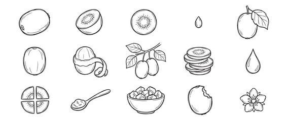 Fototapeta premium Various hand-drawn black and white kiwi fruit illustrations depict whole, sliced, peeled, and diced forms with a flower and drop
