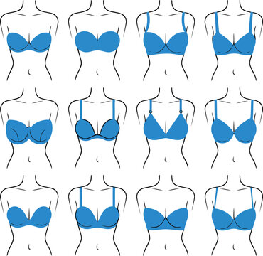 Illustrative guide showcasing various bra styles and different cup shapes