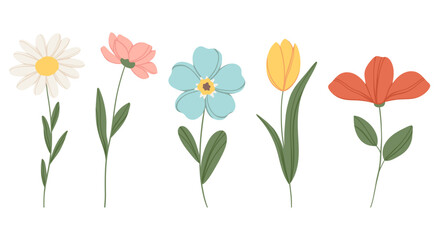 Fototapeta premium Pastel minimal flowers set