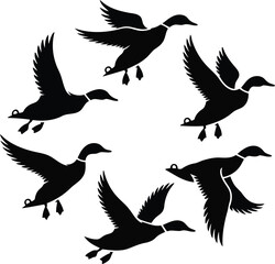 Obraz premium Depicting ducks in midflight against white silhouettes 