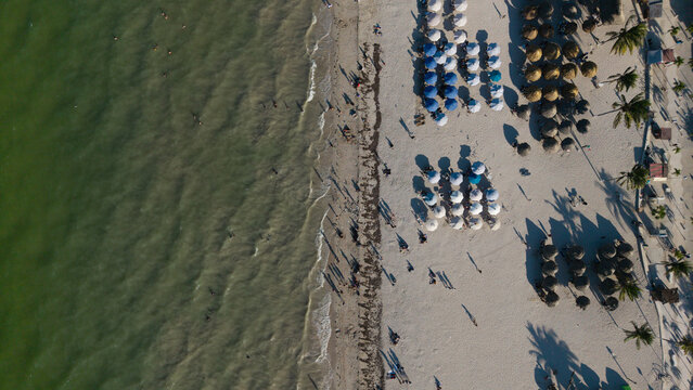 A dynamic aerial view of a lively beach where the natural rhythm of the sea meets organized human activity. Rows of umbrellas and palapas create geometric patterns on the sand, contrasted by the organ