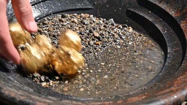 Gold Nuggets Revealed During Gold Panning Process