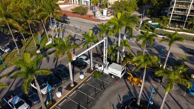 Aerial view of landscaping crew doing maintenance on bucket truck cutting palm trees and mulching the leafs with wood chipper	
