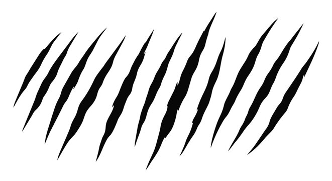 Set of claw marks