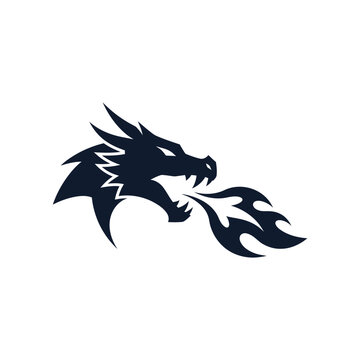 Black dragon head spitting fire powerful mythical creature illustration.