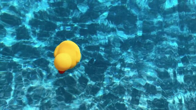 High angle view of a yellow rubber duck floating in clear water of an outdoor pool