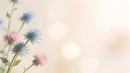 Obraz premium Blue and pink thistle flowers with bokeh