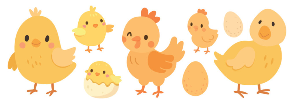 vector illustration isolated for baby chicken cartoon and animal cute design easter nature farm for bird spring vector and character background egg vector chick set for baby yellow illustration