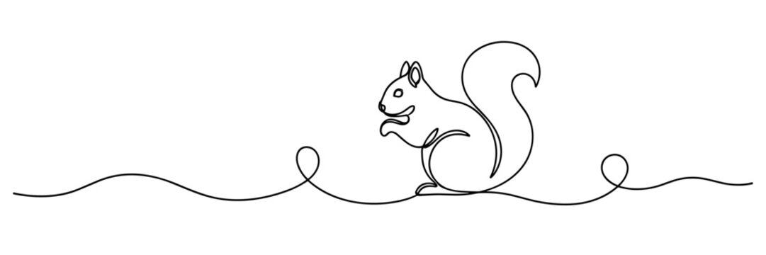 Squirrel sitting nibbling on continuous line background, none editable strokes