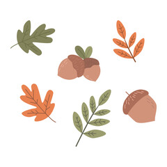assorted autumn leaves and acorn groups in vector style isolated on white background © pinkysultana131