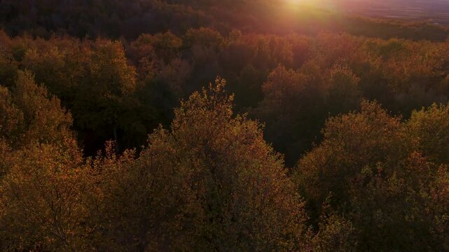 Autumn landscape on the Route of the Ancient Oaks of Okariz and Munain in the Sierra de Entzia mountain range in the province of &Aacute;lava, Basque Country, Spain, Europe