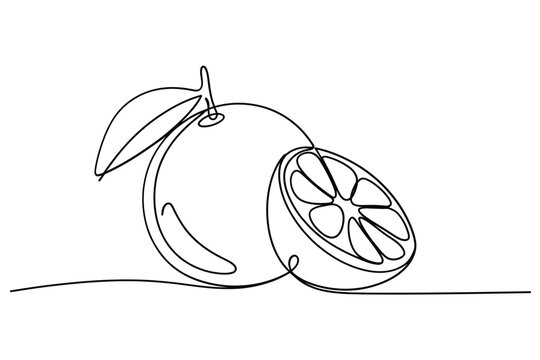 A continuous line drawing of an orange with a slice minimalist style