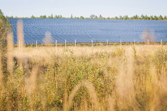 Solar Farm with Rows of Solar Panels in an Open Field. Senftenberg, Germany