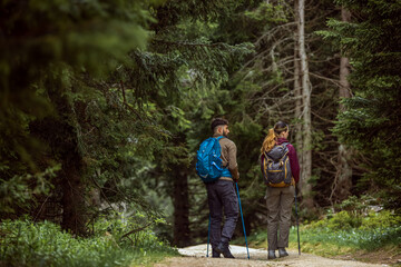 Fototapeta premium Rear view of a couple with backpacks and walking poles hiking through a dense forest.