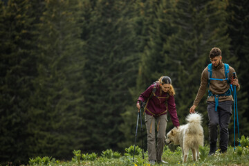Naklejka premium Hikers standing on a forest trail cuddling their large white dog.