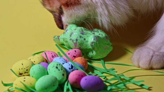 Playful cat paw batting at green glitter Easter bunny and colorful speckled eggs on yellow background. Funny pet behavior during spring holiday