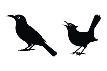 Obraz premium Bird silhouettes